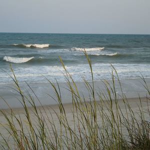 Meet your Posher, Annette